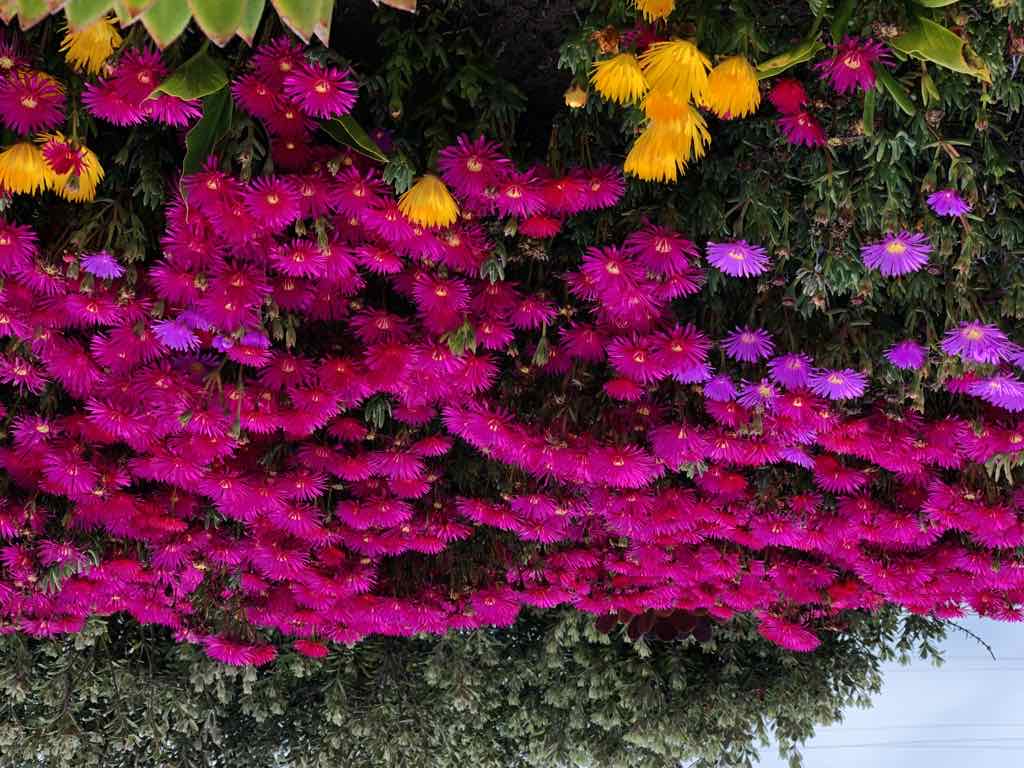 شركة عقارات