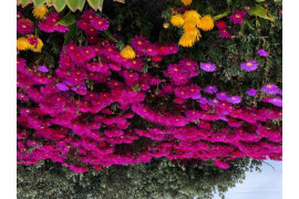 شقة للبيع في دمشق